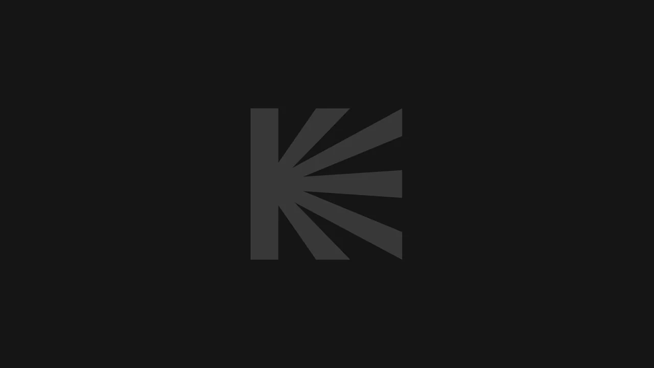 Фильм Обитель (2024)